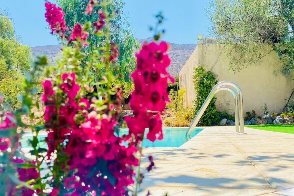 Villa Astali Stalida
